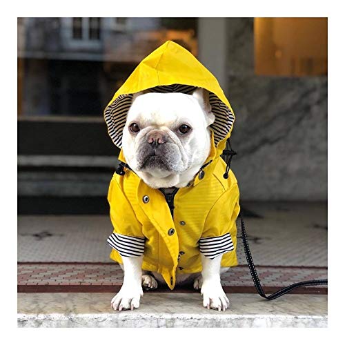 MOLUO Chubasquero para perros grandes, con capucha, abrigo para mascota, ropa de bulldog y carlino retro, impermeable (color: amarillo, talla: XXXL)