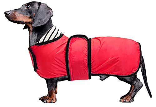 MOREZI Abrigo Impermeable para Perros con Hebilla de Hook Loop y Orificio para cordón, Adecuado para Perros Salchicha, sabuesos y Razas de Perros similares-Rojo-L