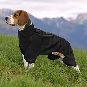 MOREZI Chubasquero para Perro de Cuatro Patas, Impermeable y Cortavientos, Alta transpirabilidad, diseño de Cremallera Trasera, con Rayas Reflectantes y cordón Ajustable-Negro-S