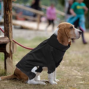 MOREZI Chubasquero para Perro de Cuatro Patas, Impermeable y Cortavientos, Alta transpirabilidad, diseño de Cremallera Trasera, con Rayas Reflectantes y cordón Ajustable-Negro-S