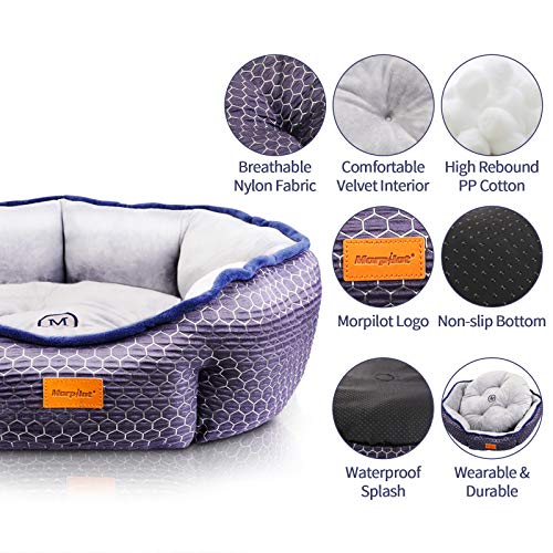 morpilot Cama Gato, Cama Perro Pequeño, Cama para Mascotas, Lavable a Máquina, Sofá Cama para Gatos y Perros Pequeños y Medianos (M: 60 X 60 X 18 cm) Comedero Lento para Perros