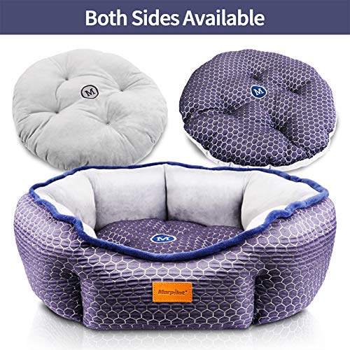 morpilot Cama Gato, Cama Perro Pequeño, Cama para Mascotas, Lavable a Máquina, Sofá Cama para Gatos y Perros Pequeños y Medianos (M: 60 X 60 X 18 cm) Comedero Lento para Perros