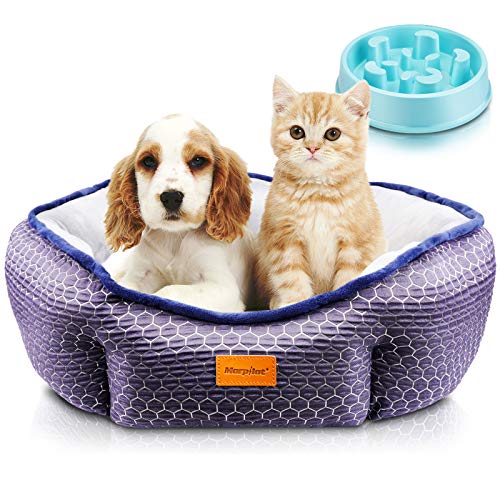 morpilot Cama Gato, Cama Perro Pequeño, Cama para Mascotas, Lavable a Máquina, Sofá Cama para Gatos y Perros Pequeños y Medianos (M: 60 X 60 X 18 cm) Comedero Lento para Perros