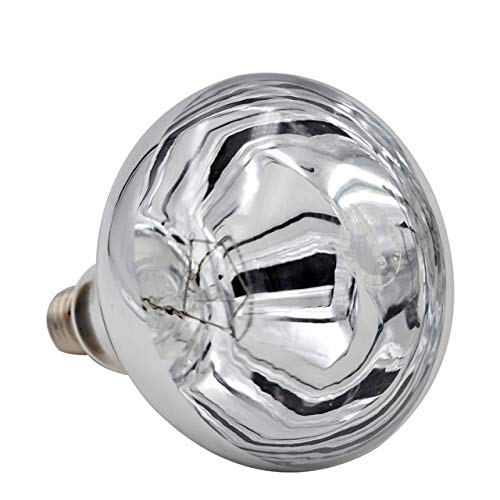 MQEIANG Mascota Caliente a Prueba de Agua de luz infrarroja lámparas de Calor del Bulbo Conejo Mascota de Pollo Caliente Bombilla criadora 100w 150w 250w 200w Opcional (Color : White, Size : 200W)