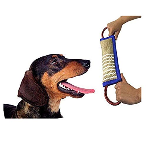 muskmelon Mordedor Perro k9 Juguetes para Perros Mordedor 30 cm Resistente Duradero Embutido de Manguera para Perros de Entrenamiento