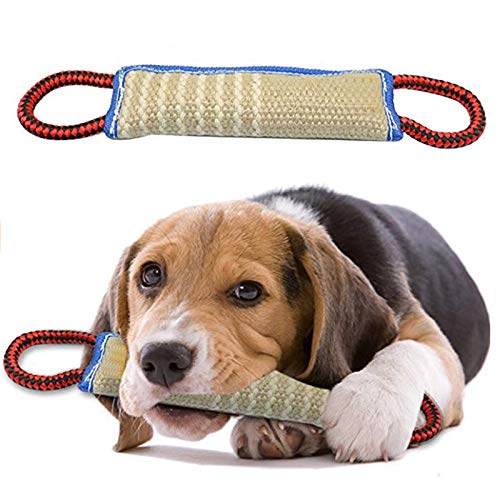 muskmelon Mordedor Perro k9 Juguetes para Perros Mordedor 30 cm Resistente Duradero Embutido de Manguera para Perros de Entrenamiento