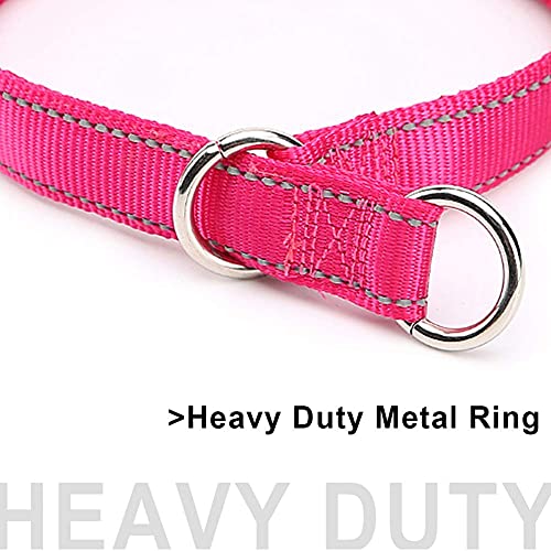 Mycicy Collar de estrangulamiento Reflectante para Perros, Collar de Entrenamiento de Nailon Suave para Perros (1" W x 22" L, Rosa Rojo)