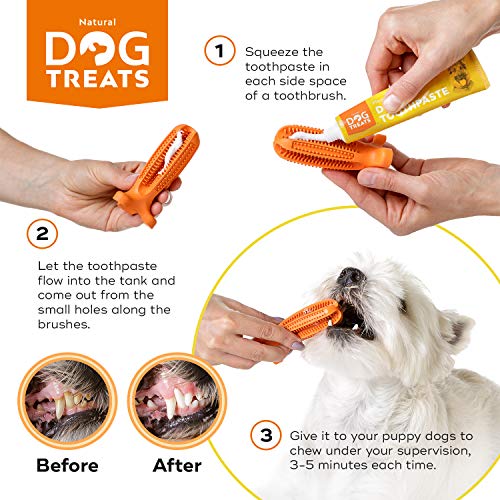 Natural Dog Treats Cepillo de Dientes y Dentífrico Set para Perros, 100% Natural Caucho Dog Brushing Stick, Juguete para Masticar, Tamaño Pequeño S