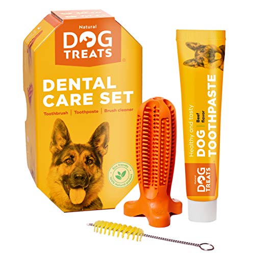 Natural Dog Treats Cepillo de Dientes y Dentífrico Set para Perros, 100% Natural Caucho Dog Brushing Stick, Juguete para Masticar, Tamaño Pequeño S