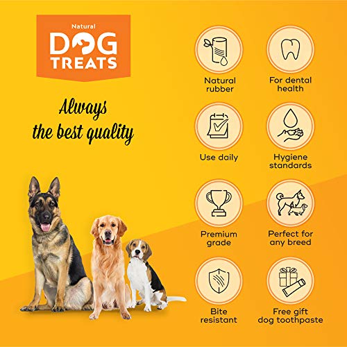 Natural Dog Treats Cepillo de Dientes y Dentífrico Set para Perros, 100% Natural Caucho Dog Brushing Stick, Juguete para Masticar, Tamaño Pequeño S