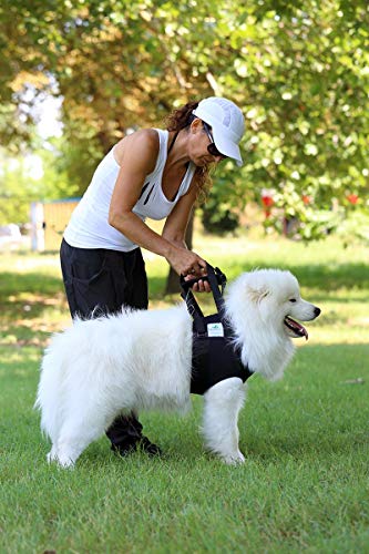 NATURE PET Accesorio Frontal para Transportar Perros - Asistencia en la rehabilitación de Perros Viejos o Enfermos - Azul - XL