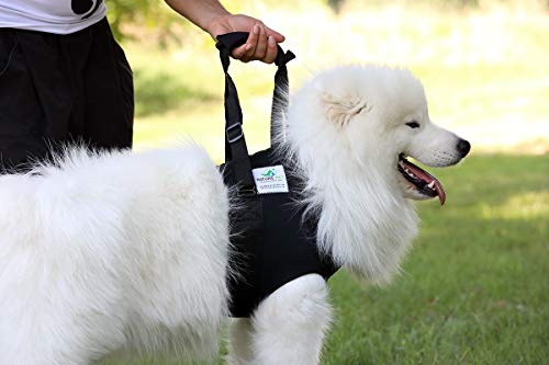 NATURE PET Accesorio Frontal para Transportar Perros - Asistencia en la rehabilitación de Perros Viejos o Enfermos - Negro - L