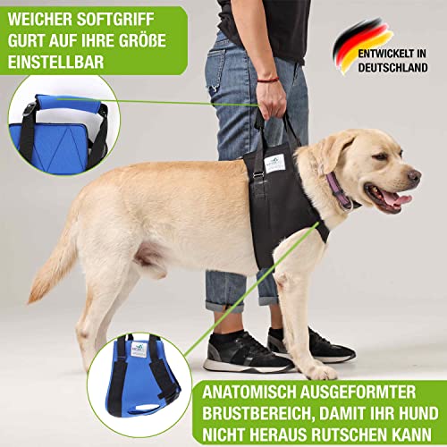 NATURE PET Accesorio Frontal para Transportar Perros - Asistencia en la rehabilitación de Perros Viejos o Enfermos - Negro - S