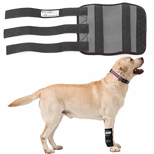 NATURE PET - Vendaje de la articulación carpometacarpiana de Perro para Deporte/Vendaje de Soporte para Perros CarpoLock Sport - Negro - L