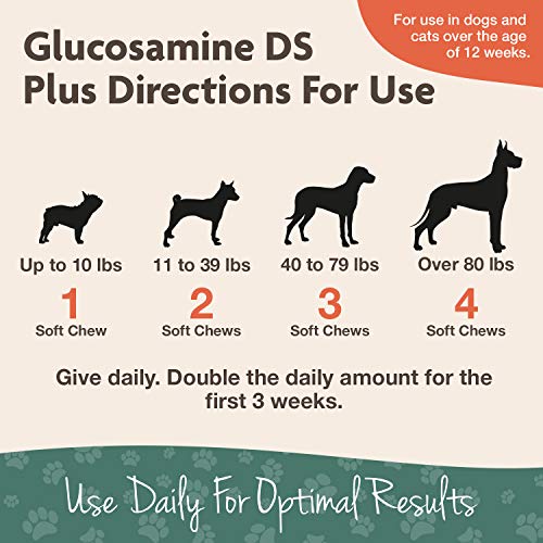 NaturVet GLUCOSAMINE - DS Plus MSM and Chondrotin Soft Chews for Dogs 120 COUNT