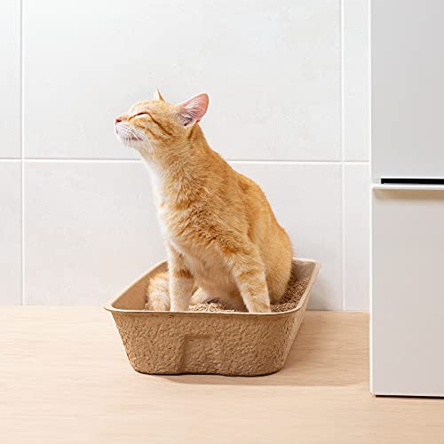 Navaris Arenero para Gatos portátil - Set de 5X Bandeja de cartón Biodegradable para Arena de Gato - Bandejas de Viaje para areneros de 40.5 x 30 CM