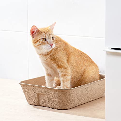 Navaris Arenero para Gatos portátil - Set de 5X Bandeja de cartón Biodegradable para Arena de Gato - Bandejas de Viaje para areneros de 40.5 x 30 CM