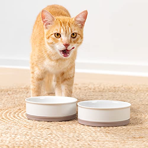 Navaris Comedero y Bebedero para Mascotas - 2X Cuenco Antideslizante de Porcelana para Agua Comida para Perros Gatos Conejos - Apto para lavavajillas