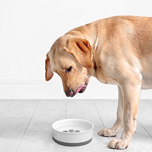 Navaris Comedero y Bebedero para Mascotas - 2X Cuenco Antideslizante de Porcelana para Agua Comida para Perros Gatos Conejos - Apto para lavavajillas