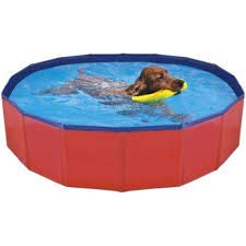 Nayeco Piscina para Perros - 80X20CM