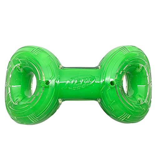 NERF Dog Scentology Infinity Ring - Juguete para Perros con Olor a Carne de Vacuno, 21 cm