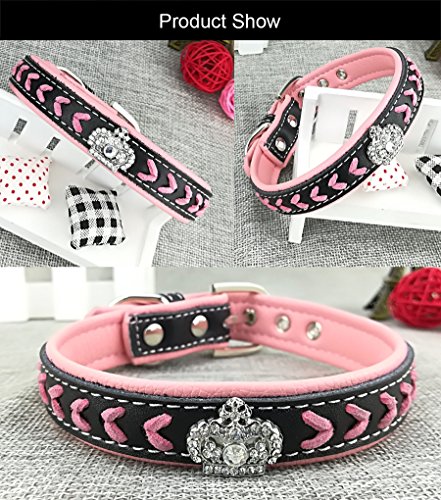 Newtensina Moda Perro Collar y Correa Conjunto Correas de Nylon Tejidas Collar de Bling Collar de Cuero Diamante Cachorro con Correa para Perros