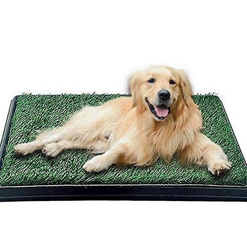 NGW Pet Supply - Almohadilla para Orinar para Perros con Césped Artificial, Baño para el Hogar, Bandeja de Inodoro para Entrenamiento de Perros, Sin Necesidad de Pañales, Limpieza Más Fácil