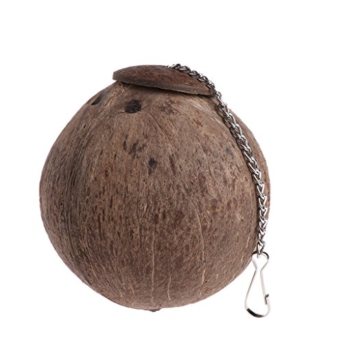 Nido de pájaro de cáscara de coco natural, nido de pájaro con alojamiento de coco, casa de pájaro con cordón colgante, para periquitos, cacatúas, canarios, pinzones, jaula de palomas, hámsteres