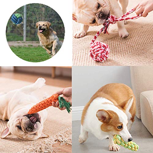 Nifogo Juguetes de Cuerda para Perros, Juguetes para Masticar, Juguetes Interactivo Conjunto, Cuerda de Algodón 100% Natural, Durable para Masticar Mejor para Cachorros pequeños y medianos(10 Piezas)