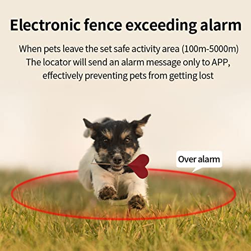 Niktule de Actividad para Mascotas con Alarma, Collar de Seguimiento Impermeable para Perros y Gatos, rastreador GPS para Perros, rastreador GPS para Mascotas en Tiempo Real