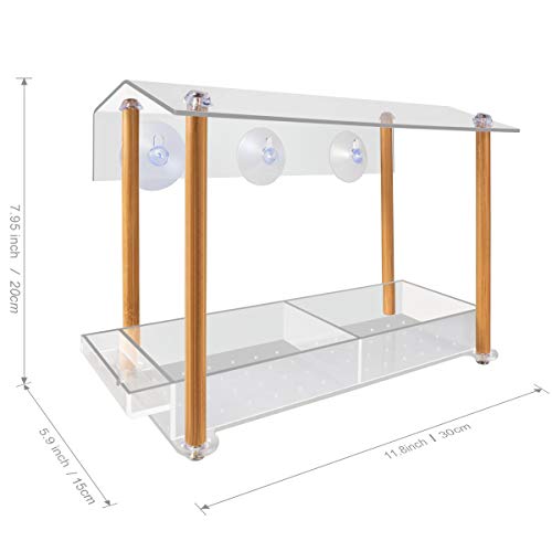 NIUXX Comedero para Pájaros Transparente de Acrílico, Comedero Pajaros Colgante de Exterior, Comedero Pájaros para Ventana con 3 Ventosas Fuertes