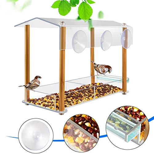 NIUXX Comedero para Pájaros Transparente de Acrílico, Comedero Pajaros Colgante de Exterior, Comedero Pájaros para Ventana con 3 Ventosas Fuertes