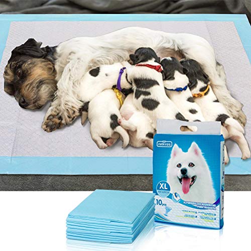 Nobleza 100x Empapadores Perros de Adiestramiento, Alfombras Higiénica de Entrenamiento para Mascotas, Caninas Alfombrilla, Ultra Absorbente 90 x 80cm