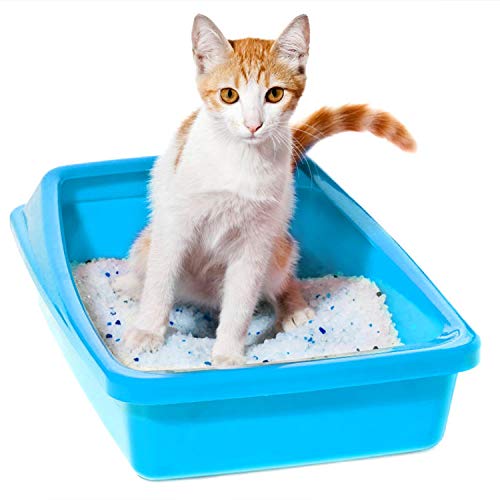 Nobleza - 30.4L Arena para Gatos de sílice Camada para Gatitos de Gel de Diamante Absorbente, Cómodo Biodegradable