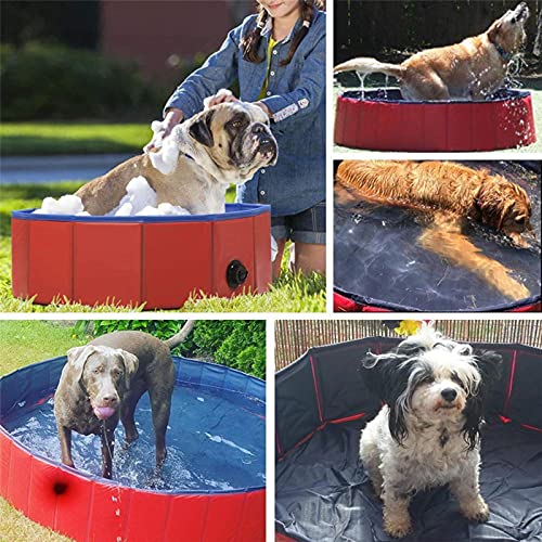 NOERTYB Piscina Pet Plegable para Mascotas Baño para Bassin De Perro para Cachorros Gatitos Y Gatos