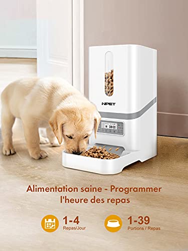 NPET Dispensador de piquetas de gato de perro, automático de comida para perro, grabador de voz, animales con grabador de Vocal y temporizador programable hasta 4 comidas