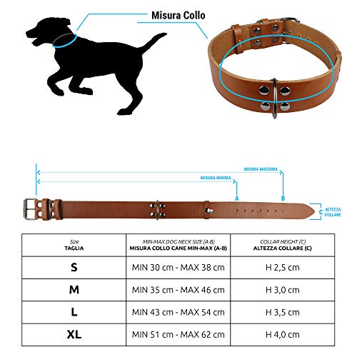 NUEVO Collar de perro mediano grande con mango (Labrador Golden Retriver Pastor alemán Bulldog Amstaff Pitbull Cachorro adulto joven) Cuero resistente real (Collar clásico XL 51-62 H4.0 cm, Coñac)