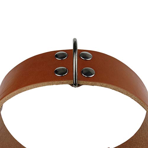 NUEVO Collar de perro mediano grande con mango (Labrador Golden Retriver Pastor alemán Bulldog Amstaff Pitbull Cachorro adulto joven) Cuero resistente real (Collar clásico L 43-54 H3.5 cm, Coñac)