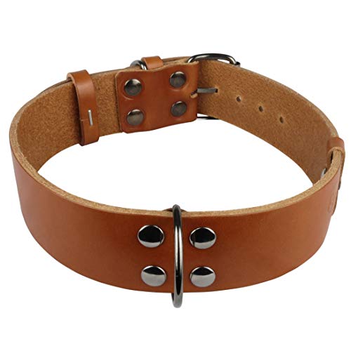 NUEVO Collar de perro mediano grande con mango (Labrador Golden Retriver Pastor alemán Bulldog Amstaff Pitbull Cachorro adulto joven) Cuero resistente real (Collar clásico XL 51-62 H4.0 cm, Coñac)