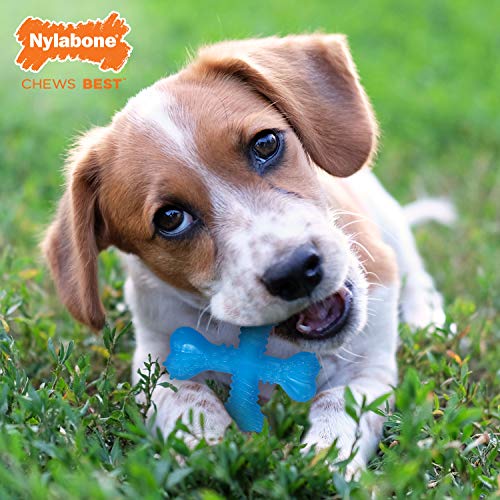 Nylabone Cachorro dentición Hueso Carne Sabor Perro Chew