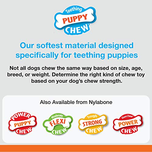 Nylabone Juguete masticable para la higiene Dental de Cachorros en Etapa de dentición, Juguete calmante masticable de Goma, Sabor a Pollo, para Cachorros de hasta 7 Kilos, 63.5 g, Petite