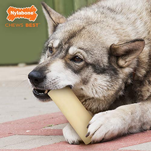 Nylabone Power Masticar Médula Hueso Alternativo Perro Masticar Juguete