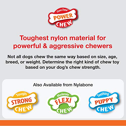 Nylabone Power Masticar Médula Hueso Alternativo Perro Masticar Juguete