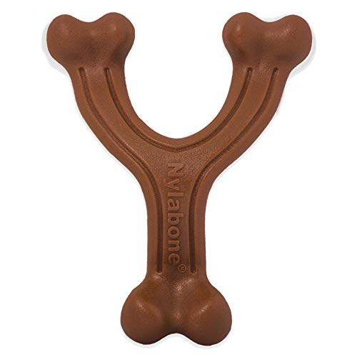 Nylabone Sabor a Bisonte | Juguete masticable mordidas potentes | Grande| para Perros de hasta 23 kg, Nylon, No se Aplica, L