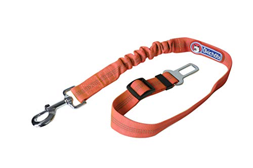 OKICHOBI | Correa de seguridad para perros para coche | 45 cm – 65 cm ajustable con 12 cm de margen gracias a la goma | Correa naranja con hebilla plateada y mosquetón