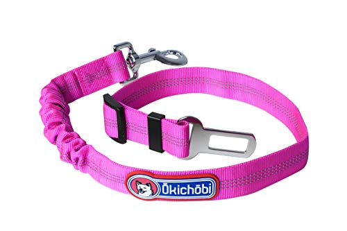 OKICHOBI | Correa de seguridad para perros para coches | 45 cm – 65 cm ajustable con 12 cm de margen por goma | Correa púrpura con hebilla plateada y mosquetón