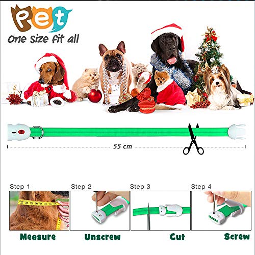 Oladwolf Collar Luminoso Perro, USB Recargable Collar Perro luz Seguro 3 Modos, Collar LED Impermeable Ajustable para Perro y Gato Menos 20kg - Verde