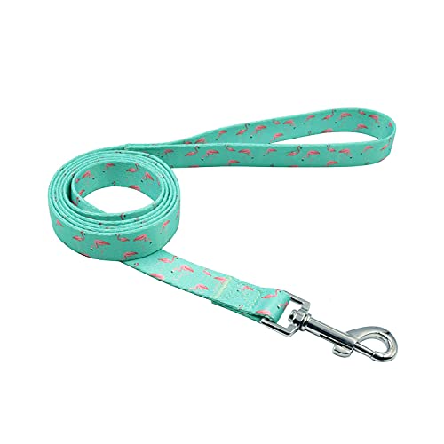 Olahibi Collar de perro de poliéster 2 en 1, collar con patrón de flamenco verde y correa a juego de 1,5 m para perros pequeños (S, flamenco verde)