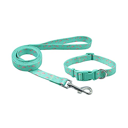 Olahibi Collar de perro de poliéster 2 en 1, collar con patrón de flamenco verde y correa a juego de 1,5 m para perros pequeños (S, flamenco verde)