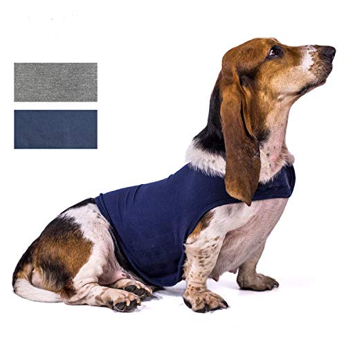 Olgaa - Chaqueta clásica para perro, antiansiedad y alivio del estrés, calmante para perros pequeños, medianos y grandes, color azul, gris